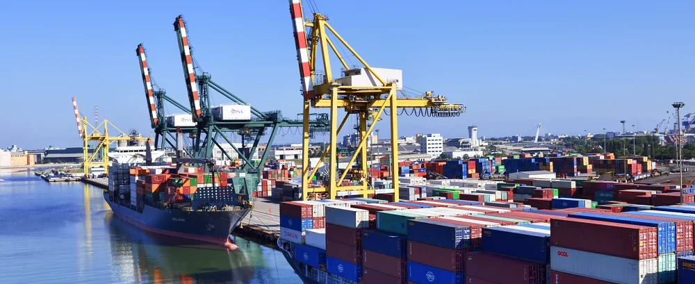 What Are DAP, DDP and DPU?