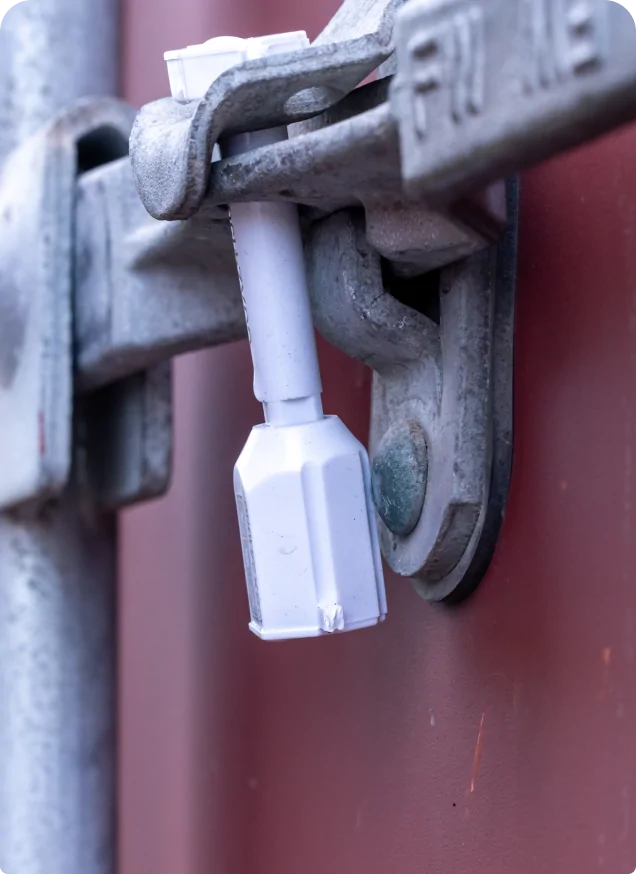 FCL Delivery фото 1