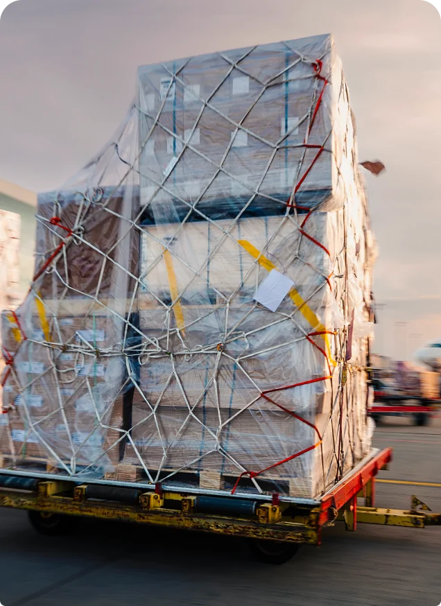 Air Freight фото 1